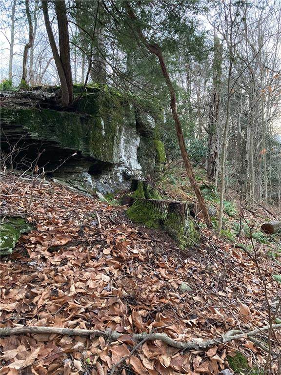 Land And Lakes Trail - Photo 1