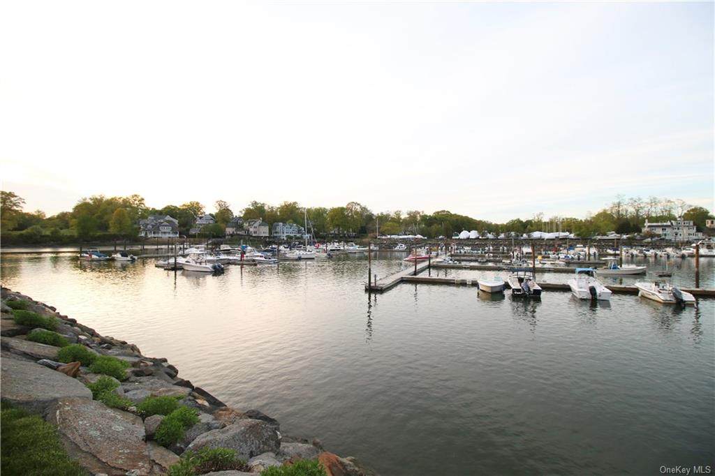 720 Milton Road - Photo 1