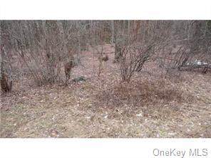 Cty Hwy 154 - Photo 1