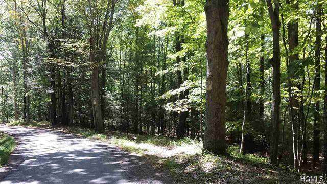 Tempaloni Road - Photo 1