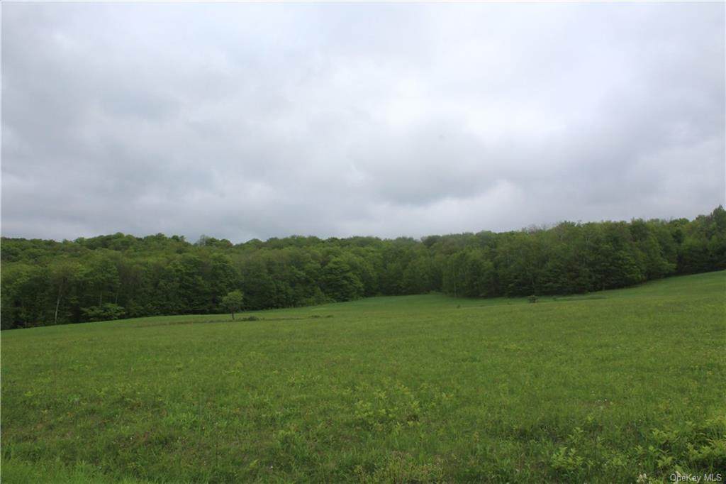 Little Fuller Road - Photo 1