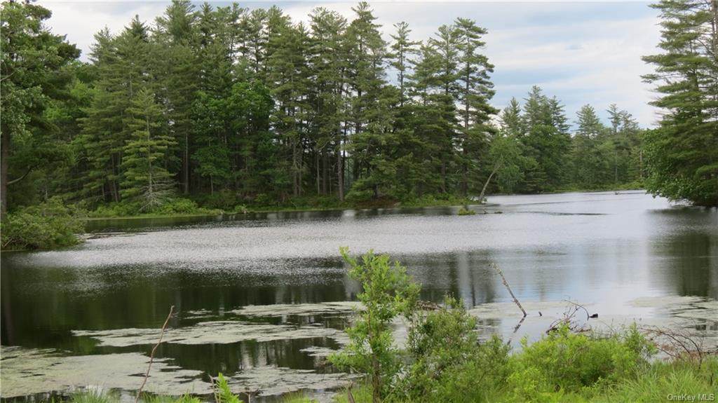 Lot #15 Swamp Pond Road - Photo 1