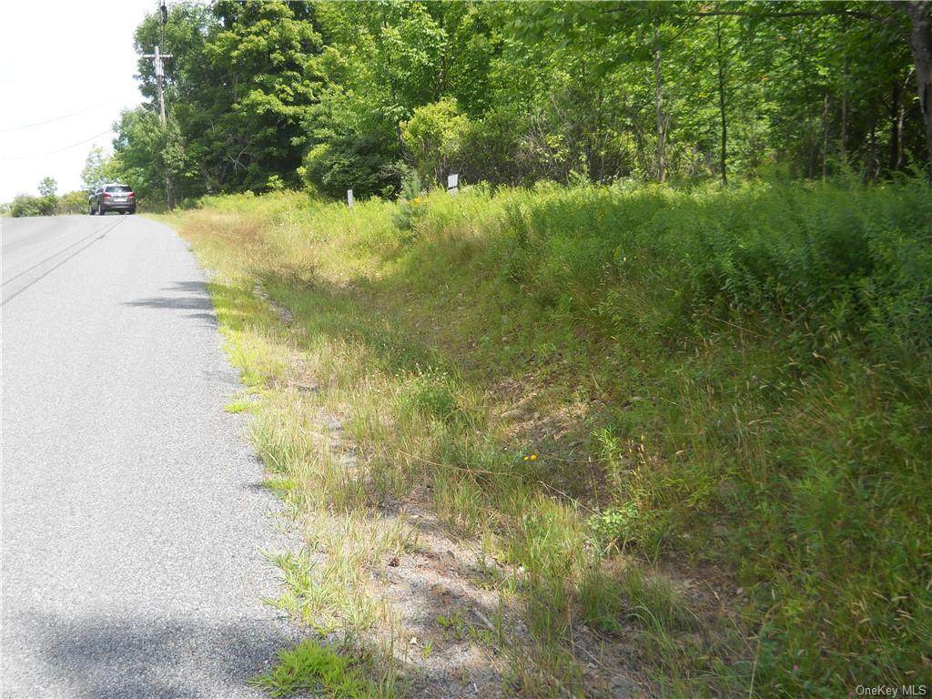 Budd Road Tr 10 - Photo 1