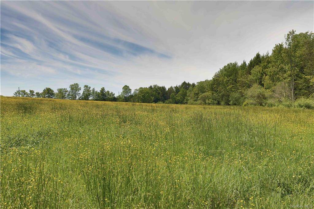 Willi Hill Road - Photo 1 Willi Hill Road - Photo 1