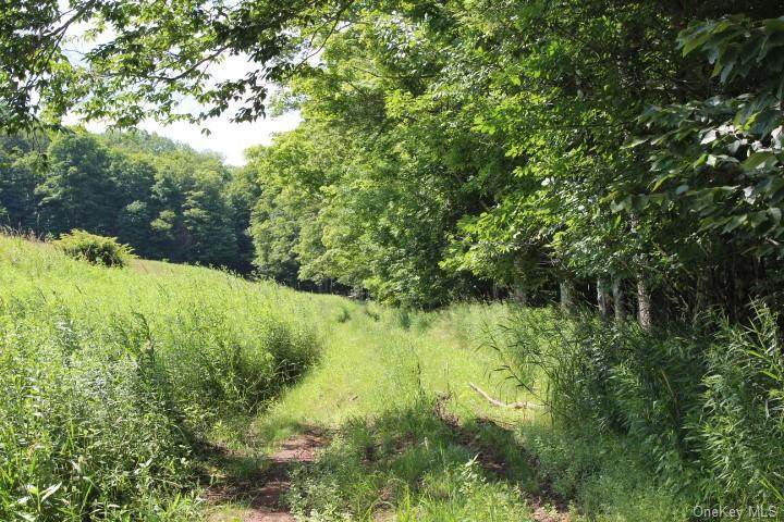 Treyz Hill Road - Photo 1