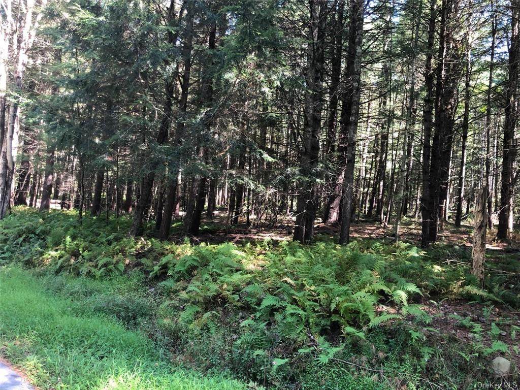 Perry Road Tr 72 - Photo 1