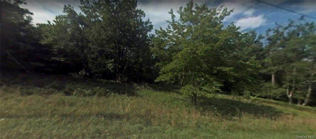 Lot #1 Mount Vernon Road - Photo 1