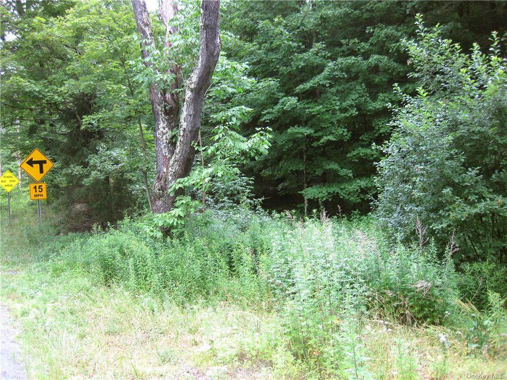 County Route 125 Road - Photo 1