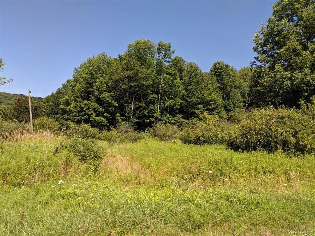 Blackberry Lake Road - Photo 1