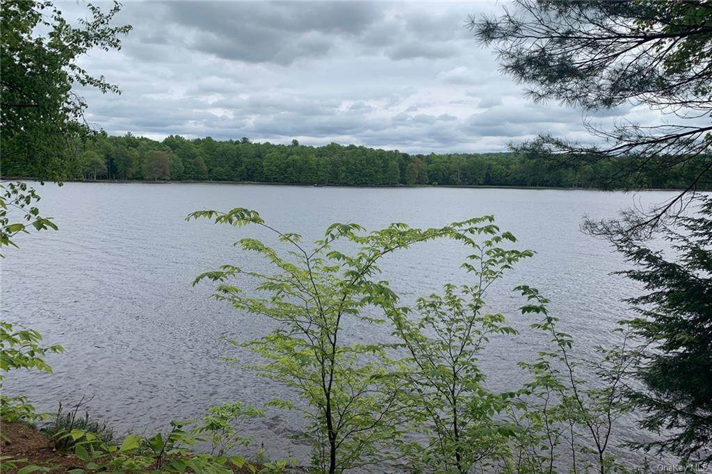 Lot 8 Woodstone Trail - Photo 1
