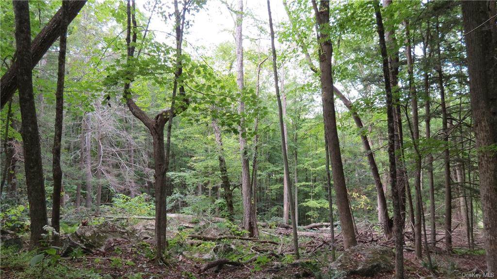 Lot #8 Cortese Road - Photo 1