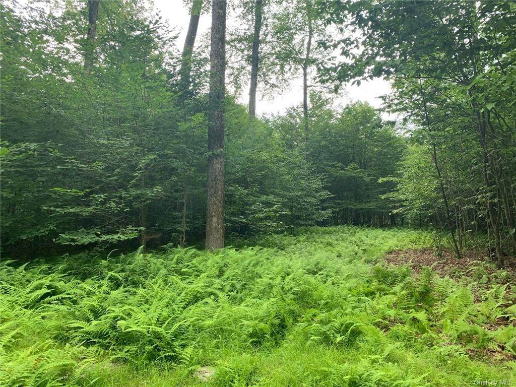 Lot 9 Overview Court - Photo 1