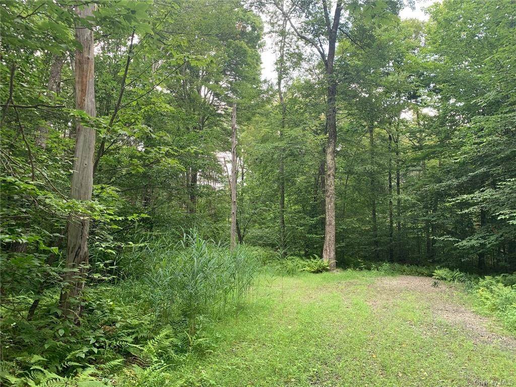 Lot 39 Chapin Trail - Photo 1