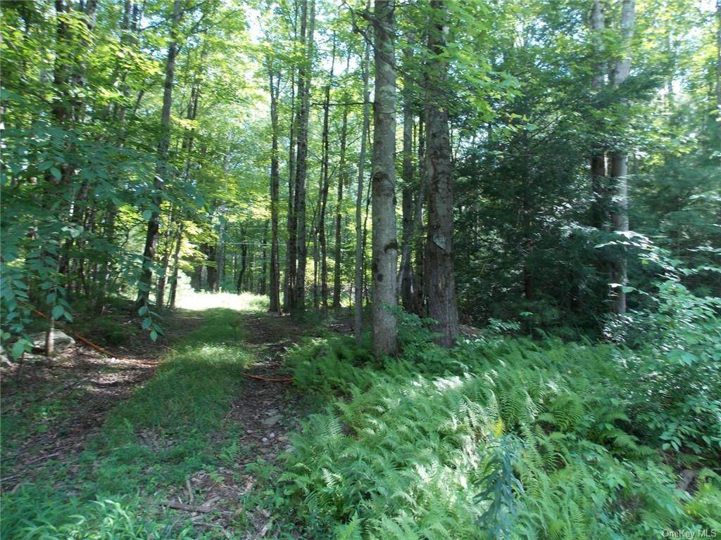 165 Mountain Dale Road - Photo 1