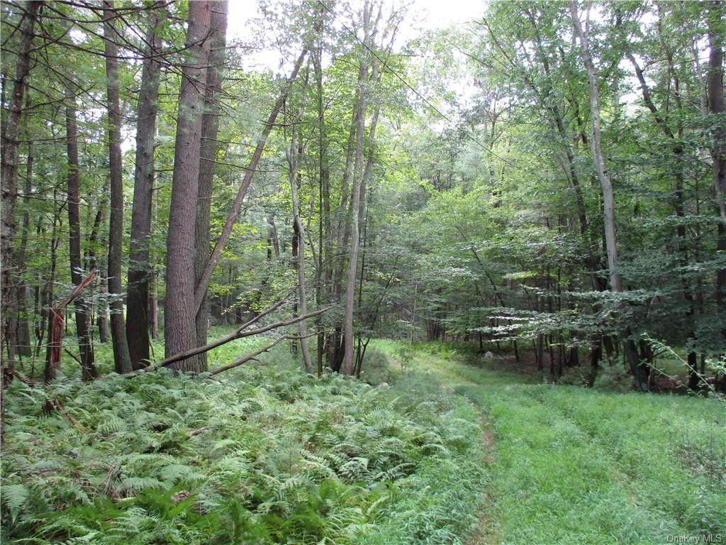 1563 Us Route 209 - Photo 1