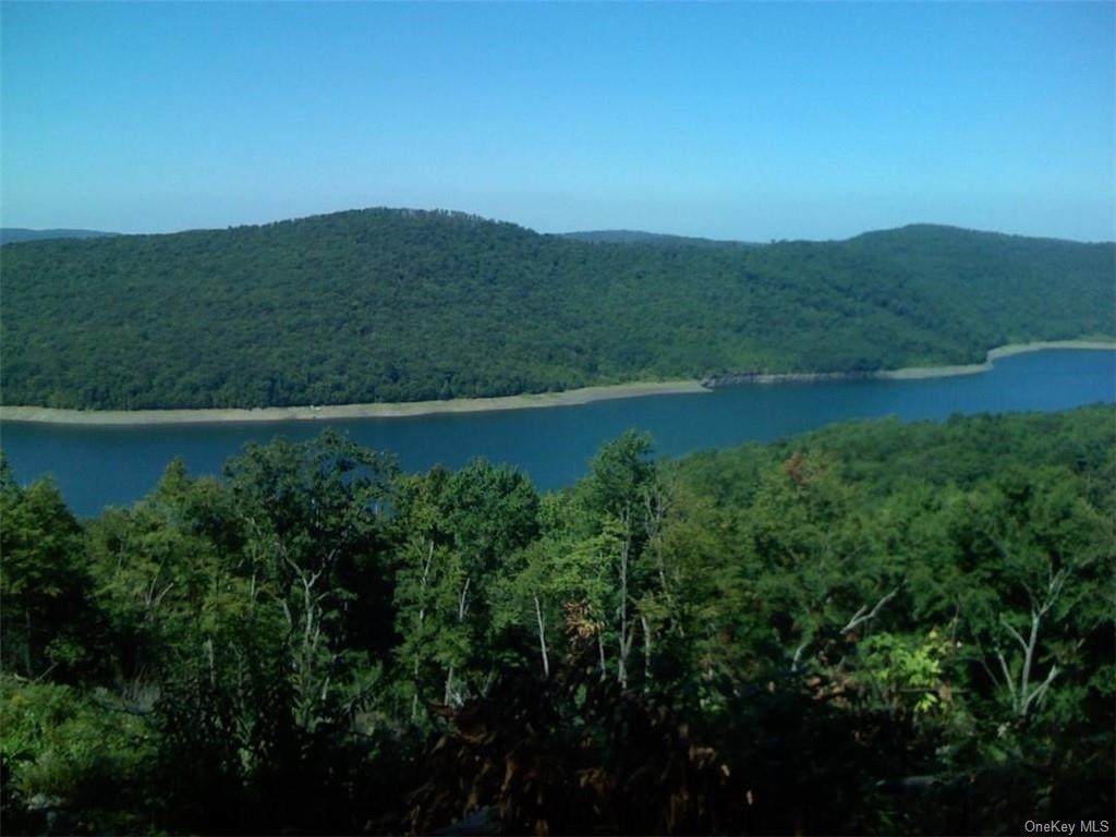 Crystal Lake Road - Photo 1