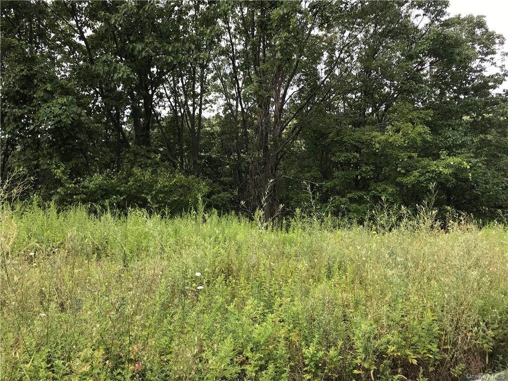0 Halley Drive - Photo 1