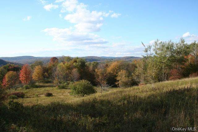 Skyline Drive - Photo 1