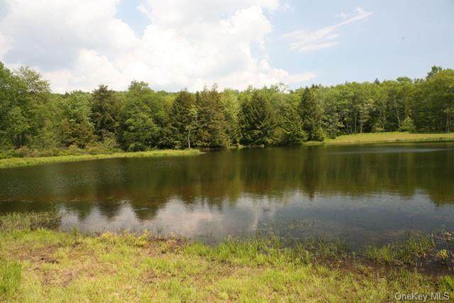00 Terwilliger Road - Photo 1