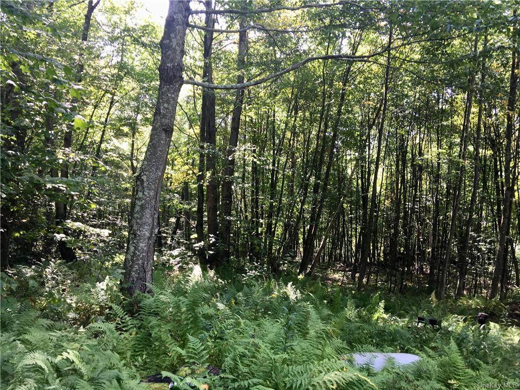 Chiloway Road - Photo 1