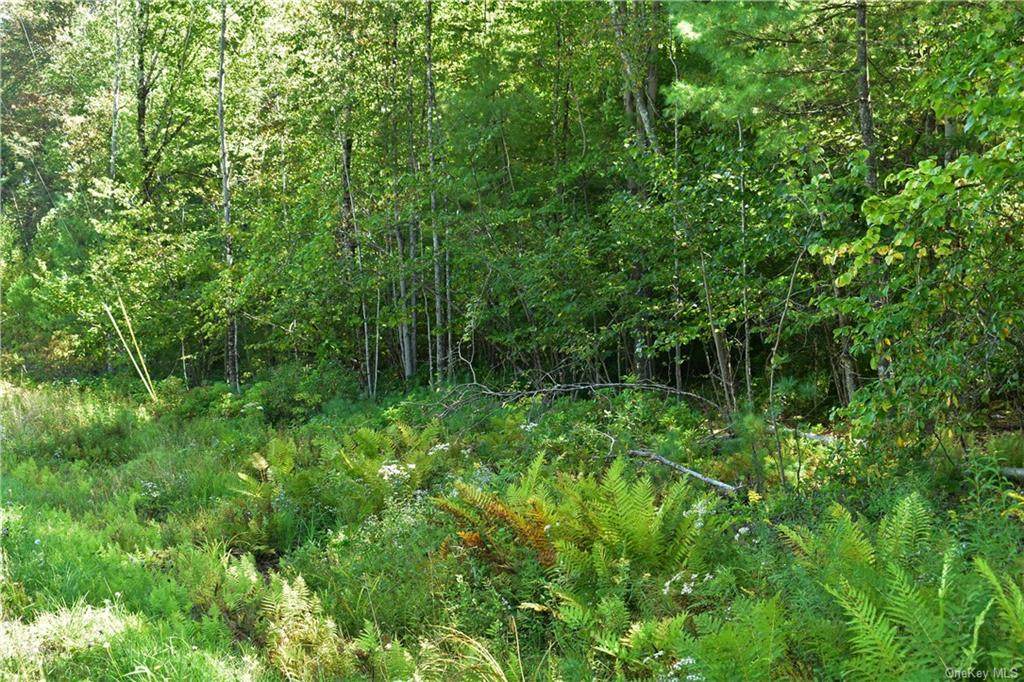 Tbd Briggs Highway - Photo 1