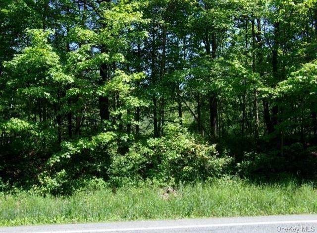 808 Us Route 209 - Photo 1
