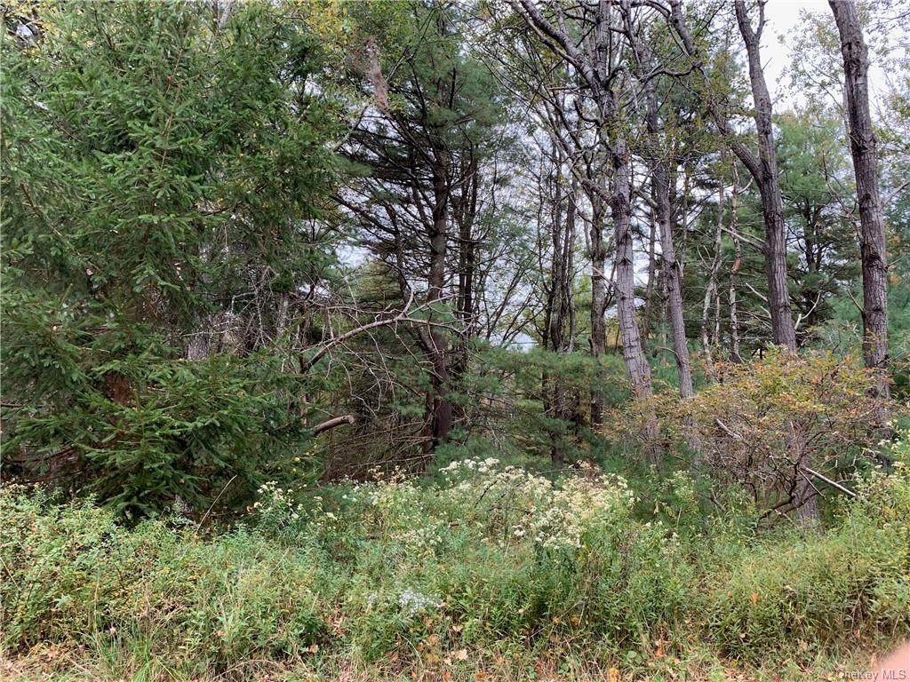 Saint Josephs Hill Road - Photo 1