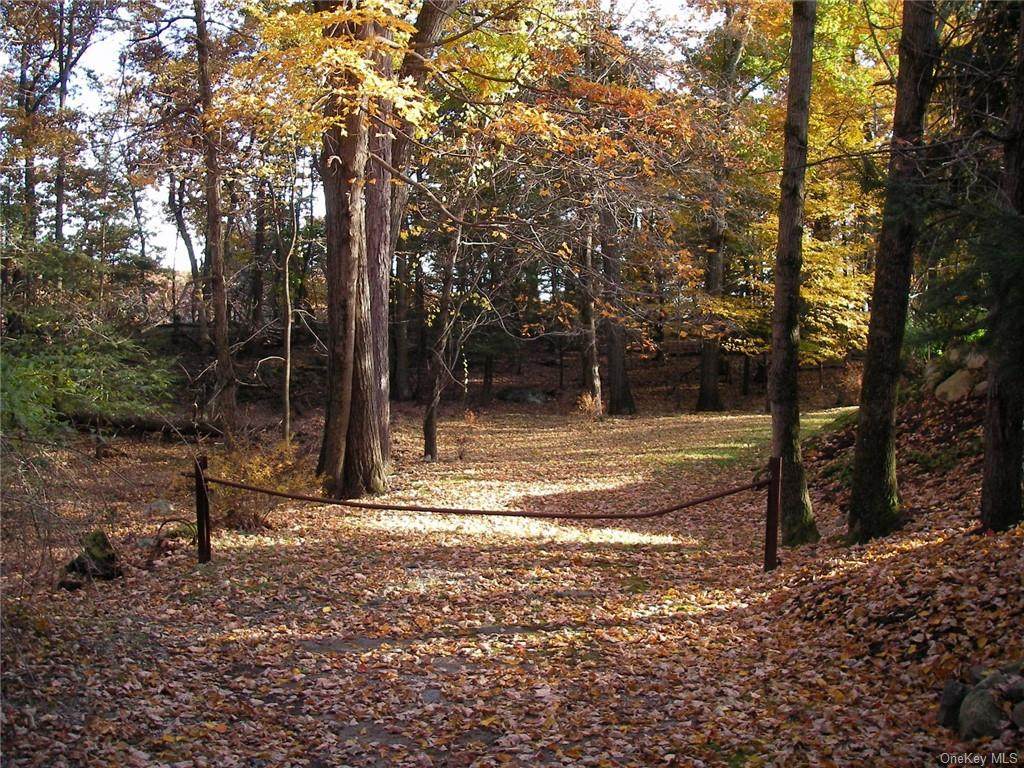 Ant Hill Road - Photo 1