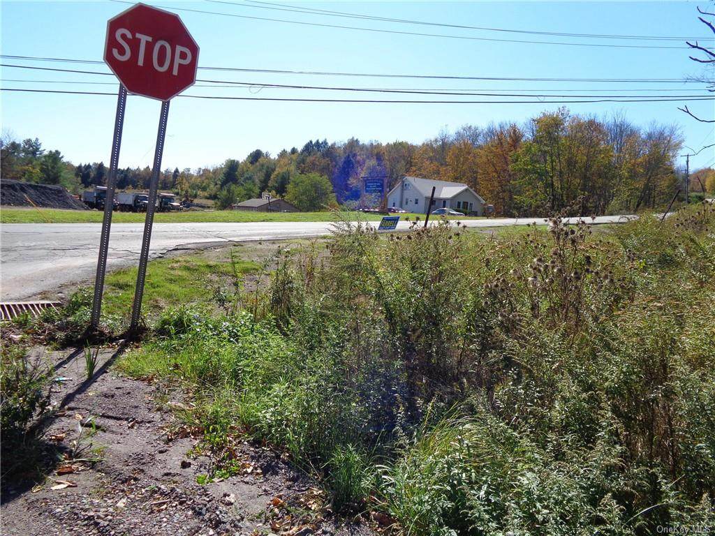 Coopers Corners Road - Photo 1