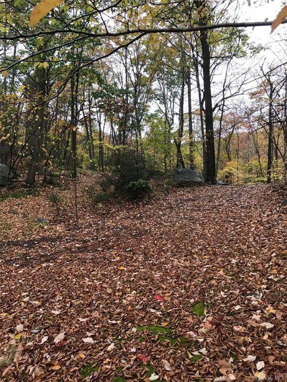 Eagle Mountain Road - Photo 1