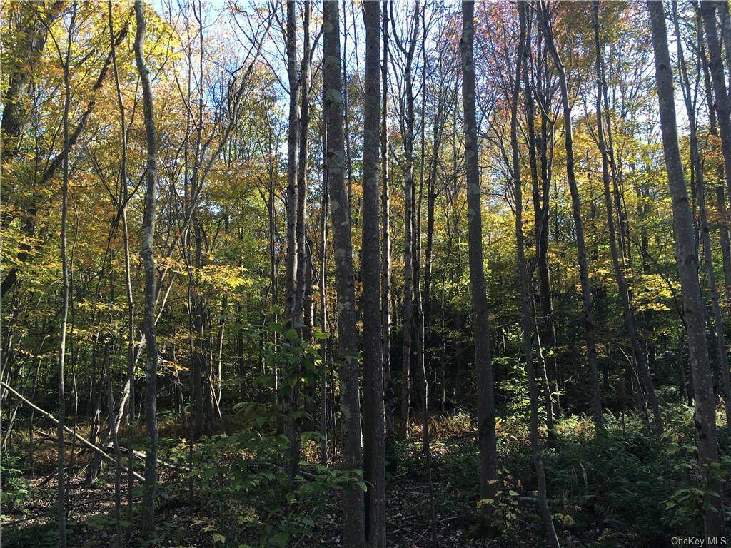 Chiloway Road - Photo 1