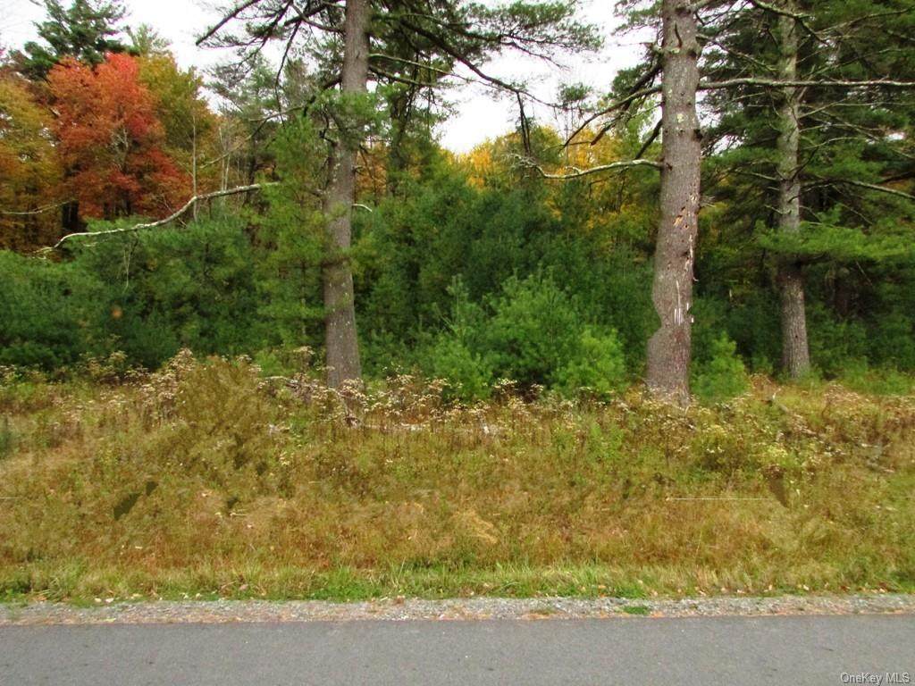 168 Joyland Road - Photo 1