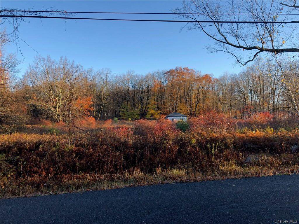 91 Whittaker Road - Photo 1