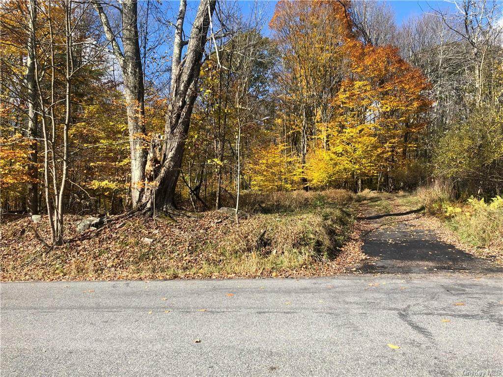 Mongaup Road - Photo 1
