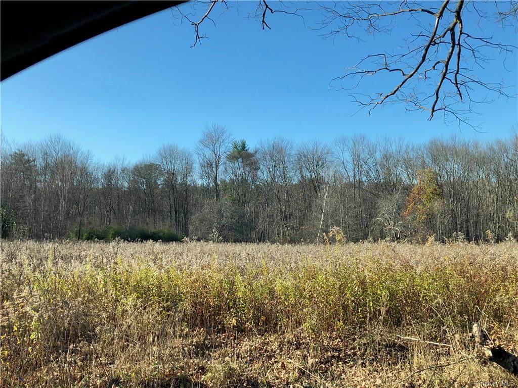 Dosen Rd/Decker Road - Photo 1