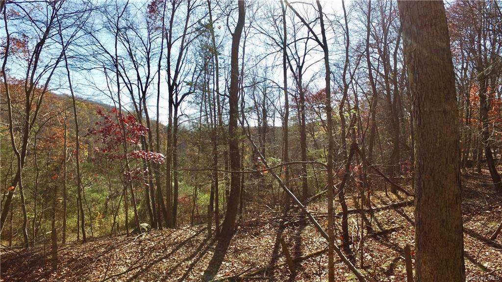 154 Old Albany Post Road - Photo 1