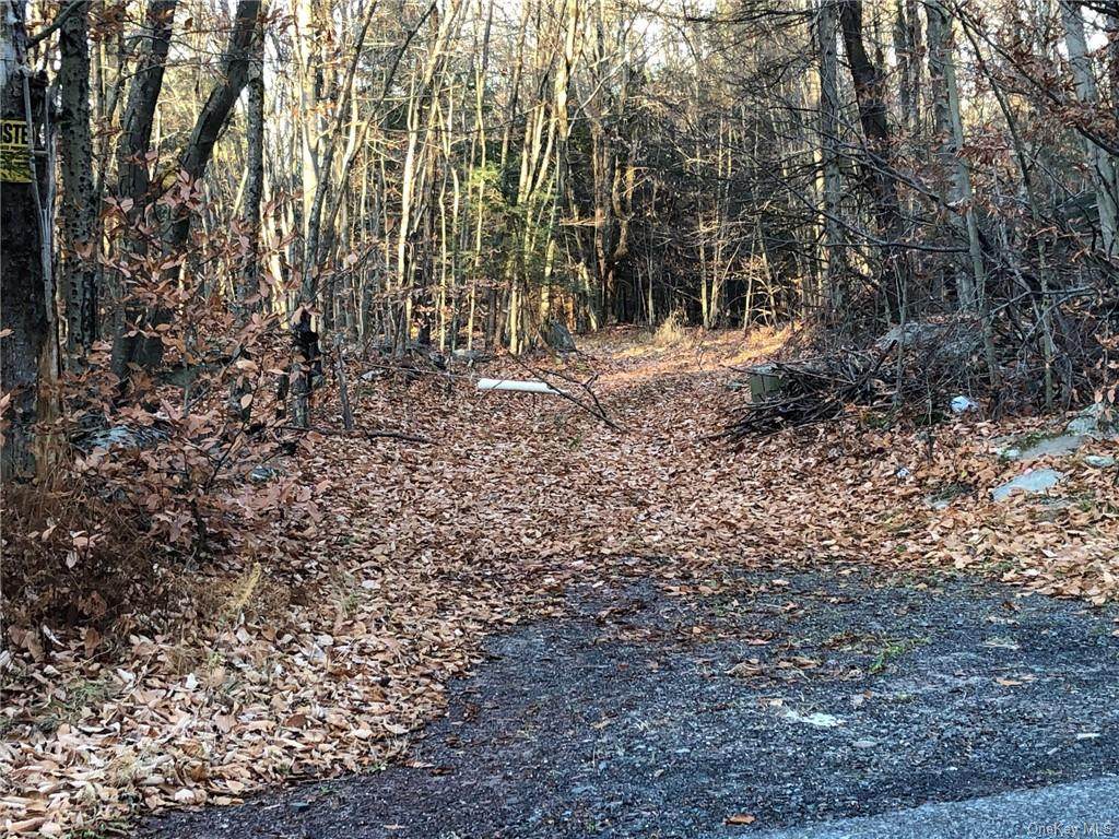 Schoolhouse Road - Photo 1