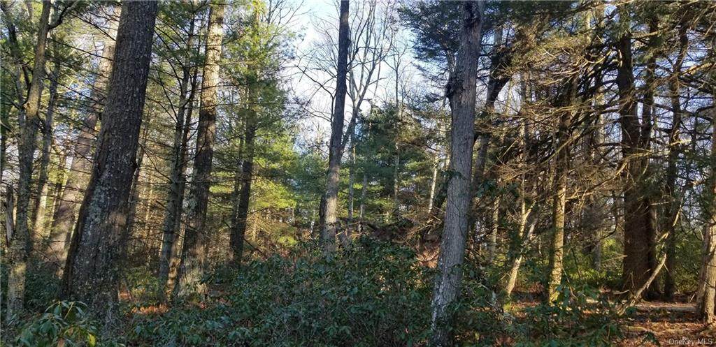 Lot 11 County Rd 26 - Photo 1