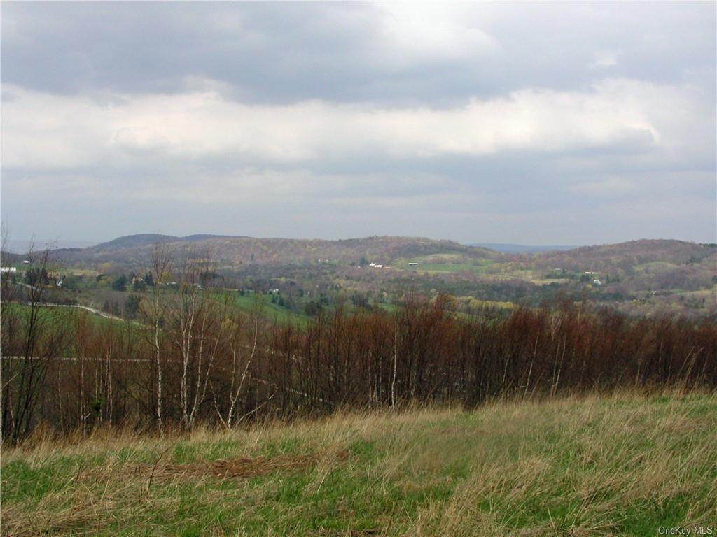 TBD County Road 164 - Photo 1