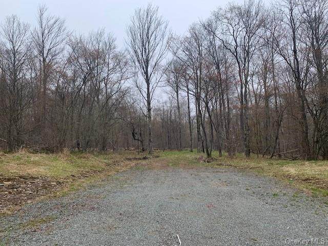 Old Hunter Road - Photo 1