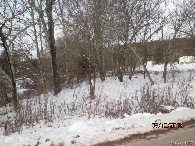 Lot 2 Strong Road - Photo 1