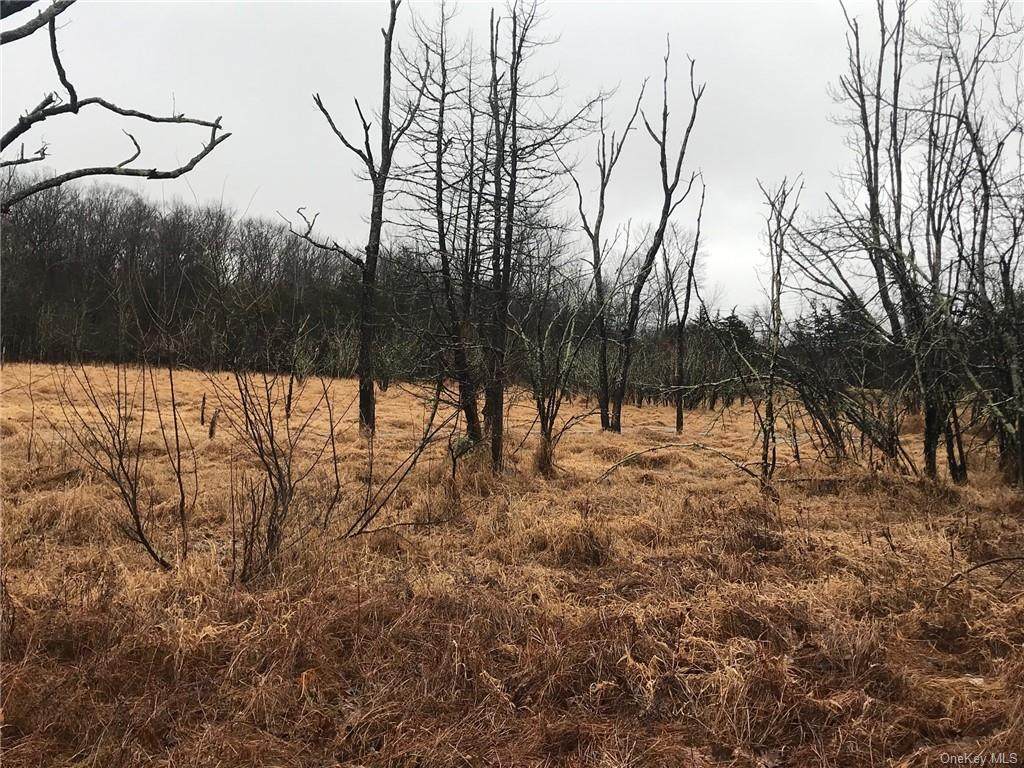 324 Pine Island Turnpike - Photo 1