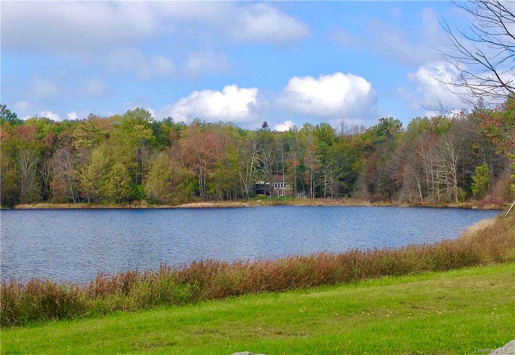 Pine Lake Drive - Photo 1