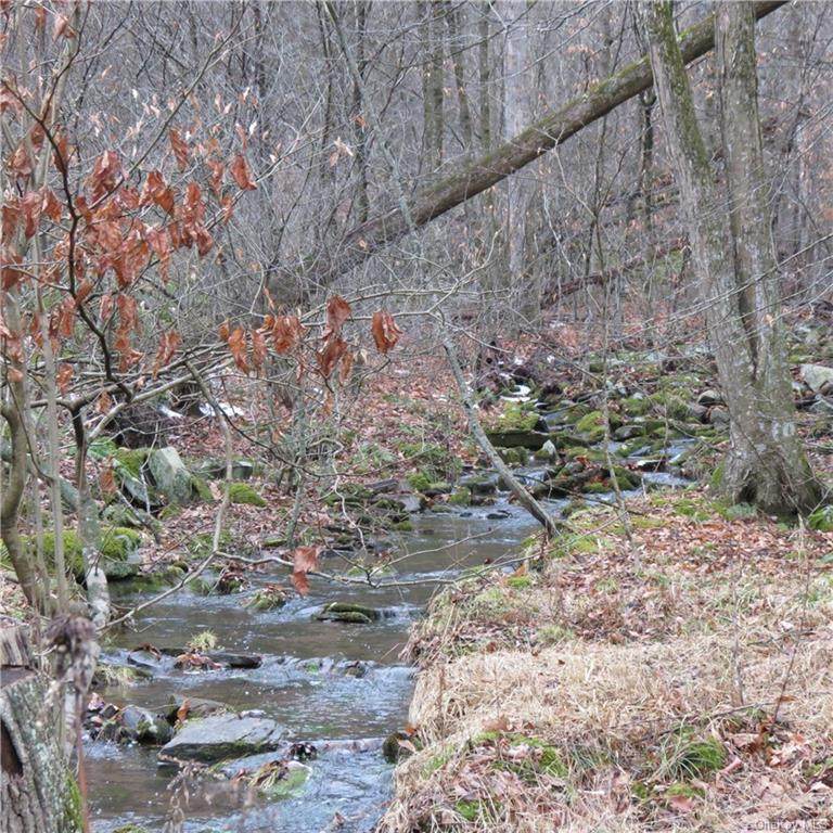 Lot 20.3 County Road 114 - Photo 1