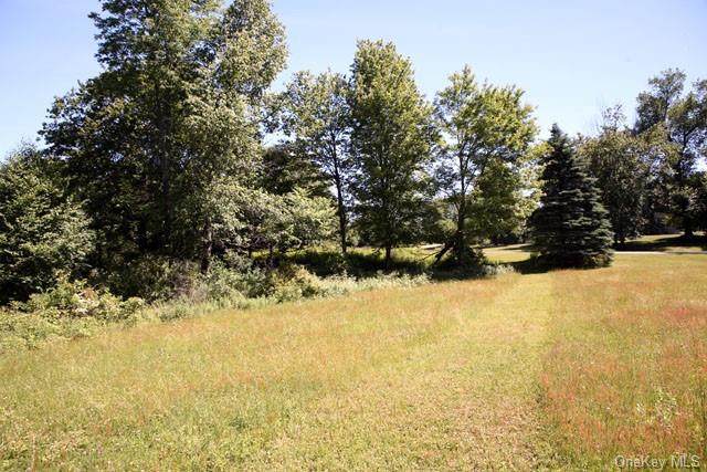 Delaware Drive - Photo 1