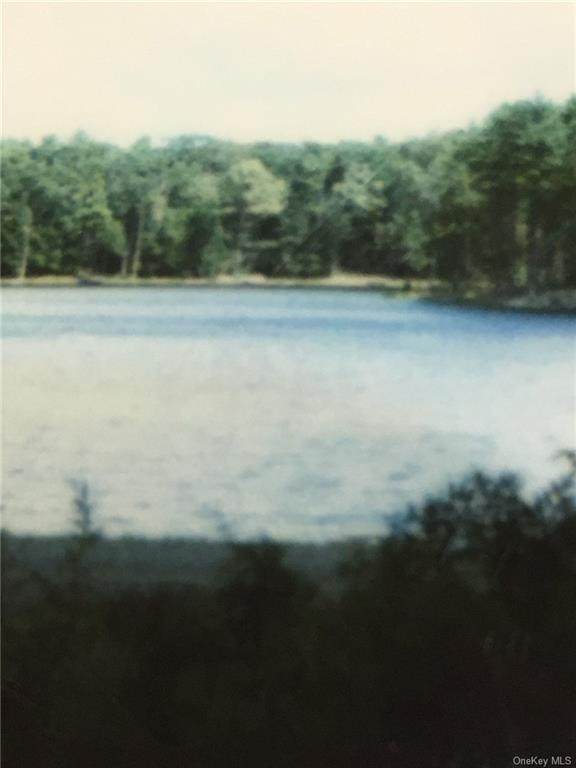 Lot 56 Timber Lake Drive - Photo 1