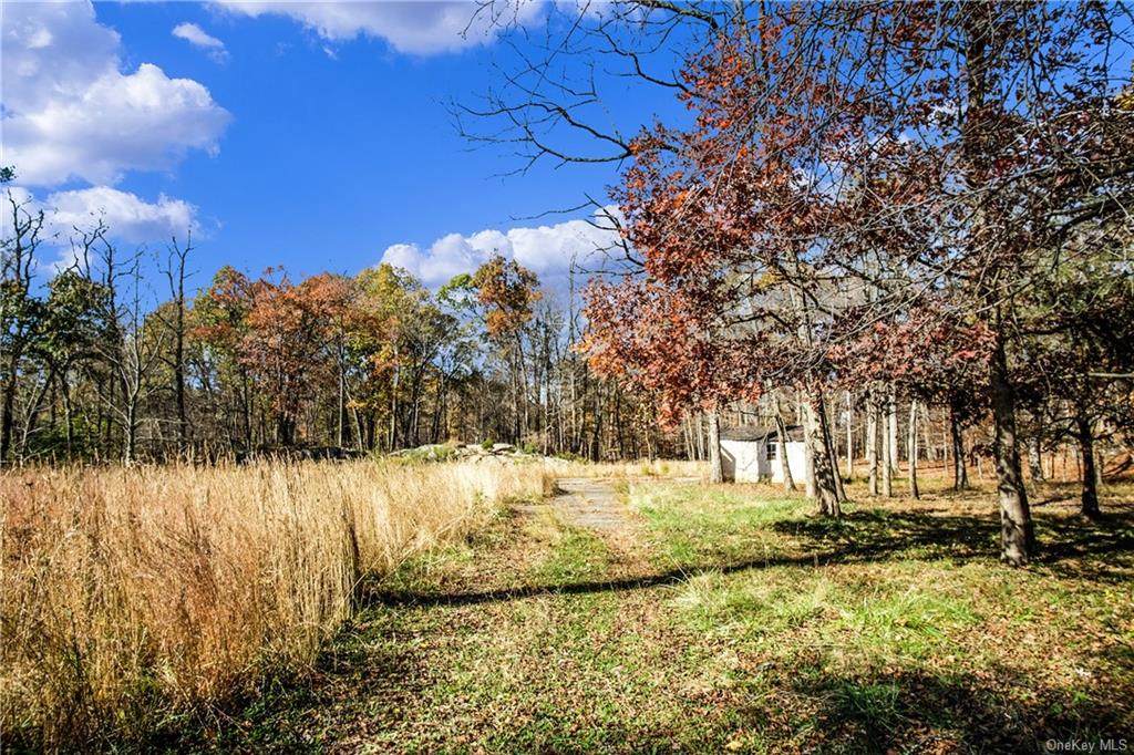 345 Croton Dam Road - Photo 1