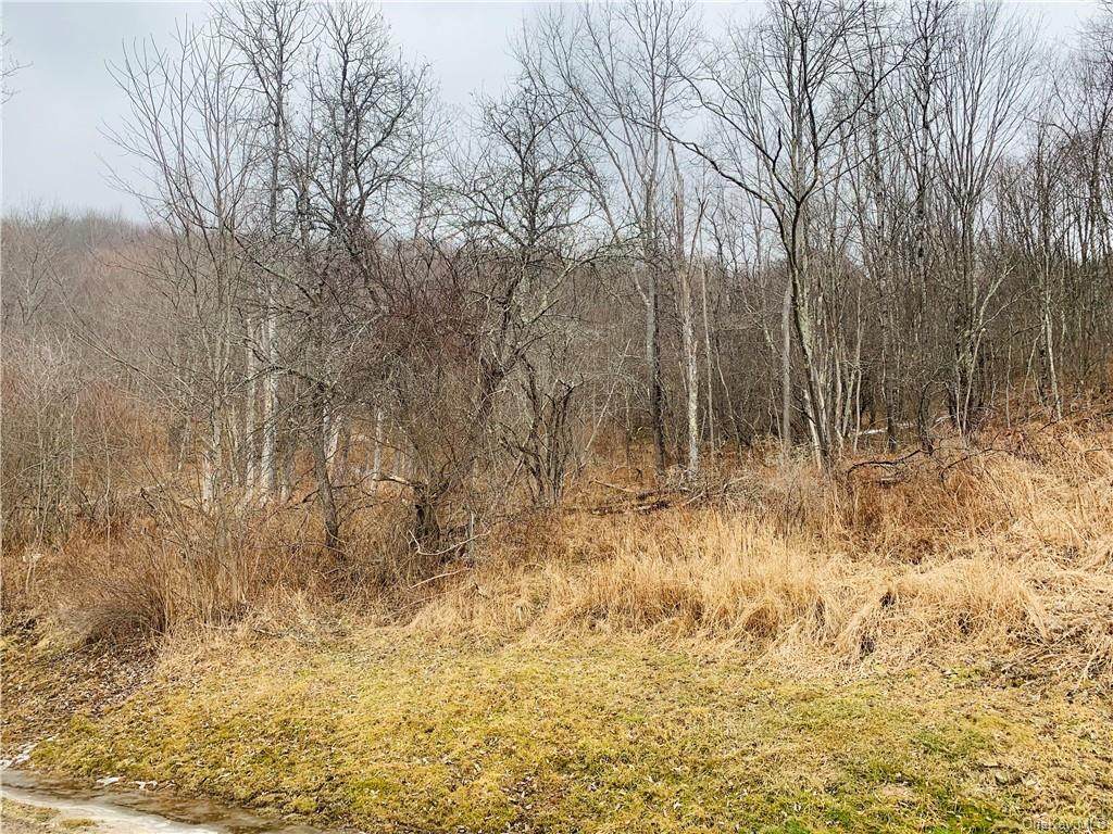 N/A Debruce Road - Photo 1
