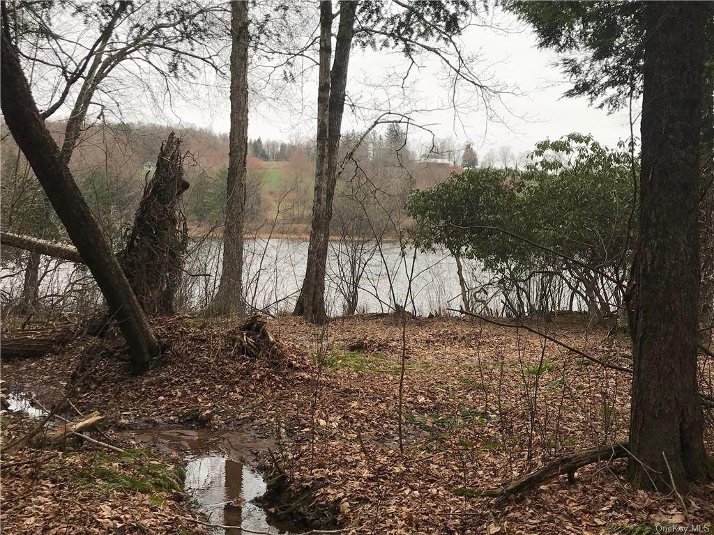 Lot 6 Kenoza Trail - Photo 1
