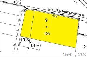 Lot 9 Old Tacy Road - Photo 1